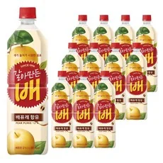 갈아만든배 음료, 500ml